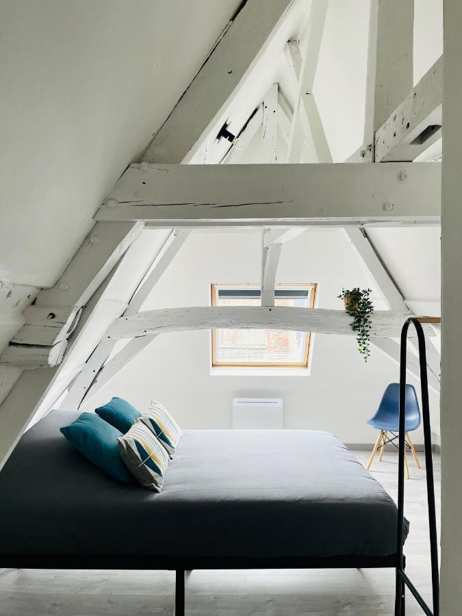 Be My Apparts, Appartement De Charme "Au Beffroi", Douai, Coeur De Ville エクステリア 写真